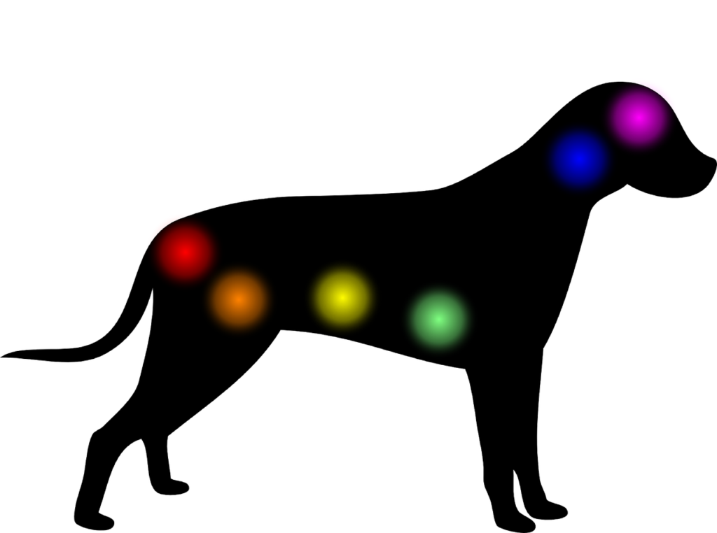 aura, chakra, dog-5341384.jpg